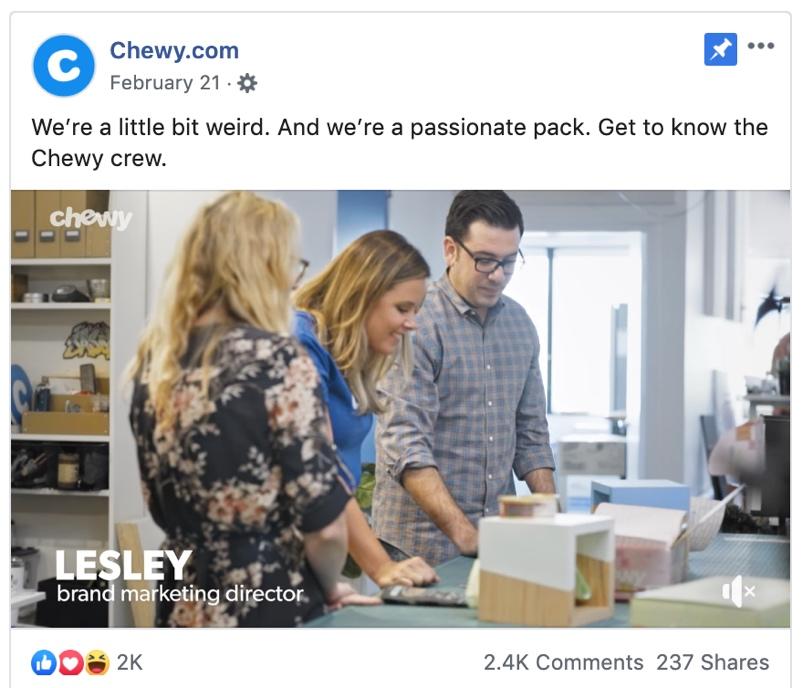 chewy.com ad